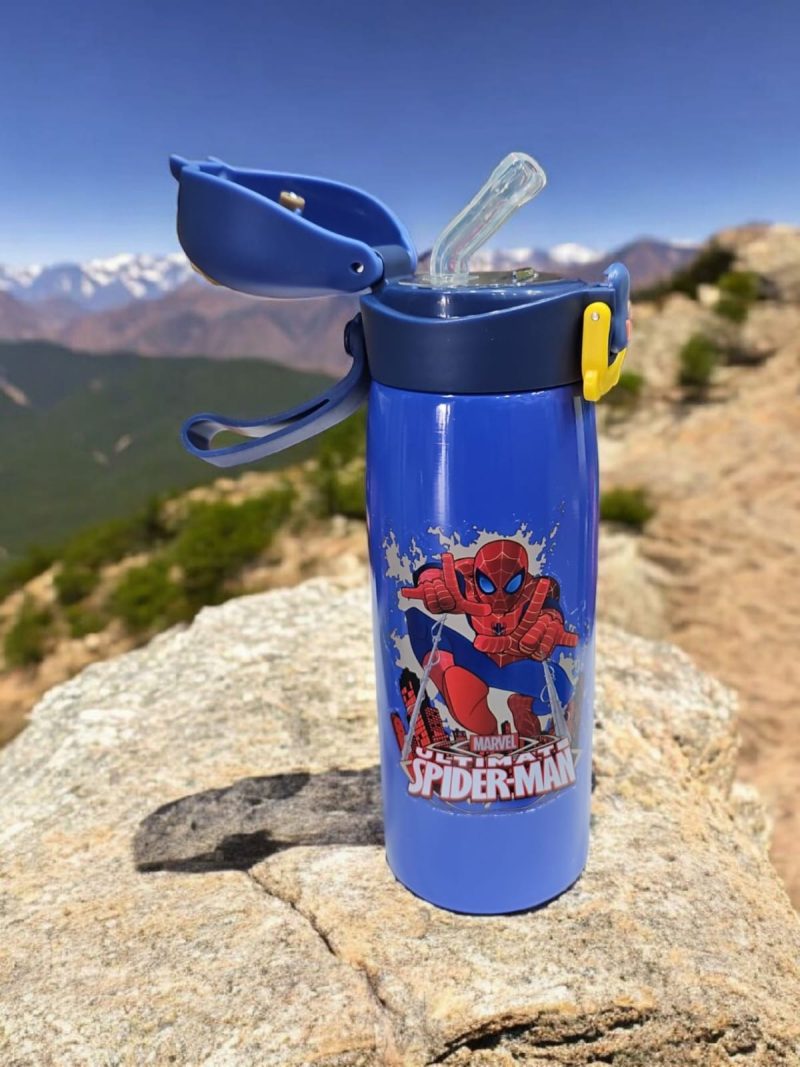HBC-188312 Hot & Cold Stainless Steel Double Walled Vacuum Insulated Straw Sipper Water Bottle for School Kids, Boys & Girls, Travel, with Temperature Display. 450ML spiderman - Image 3