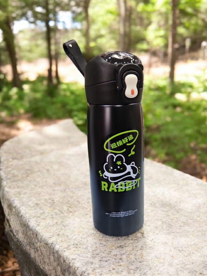 GBT-3352 Hot & Cold Stainless Steel Double Walled Vacuum Insulated Straw Sipper Water Bottle 450ML for School Kids, Boys & Girls, Travel, with Temperature Display. 500ML mix design - Image 2