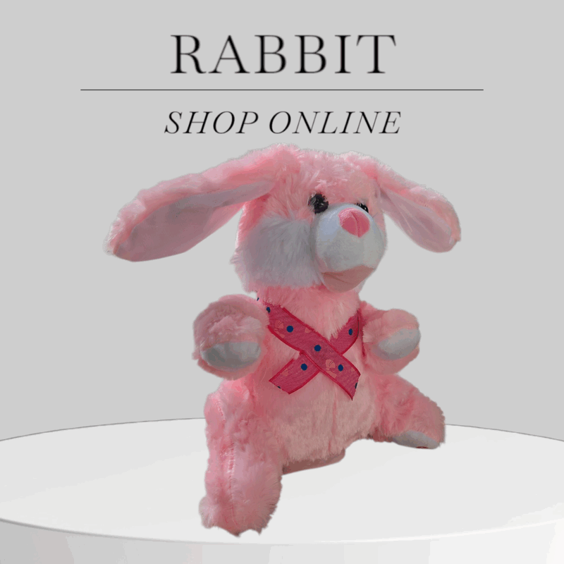 Rabbit Talking Plush Toy – Musical Bunny for Babies & Toddlers, Repeats Speech, Sings, Dances, 31cm – Birthday Gift
